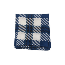 Load image into Gallery viewer, Brandeis Handkerchief Scarf