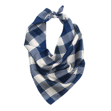 Load image into Gallery viewer, Brandeis Handkerchief Scarf