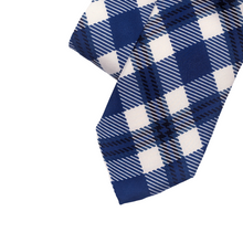 Load image into Gallery viewer, Brandeis Tie