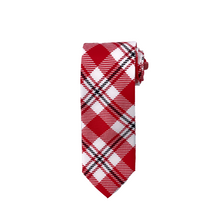 Load image into Gallery viewer, Boston University Tie