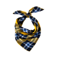 Load image into Gallery viewer, Framingham State Handkerchief Scarf