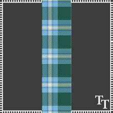 Load image into Gallery viewer, Tulane Pillow Cover
