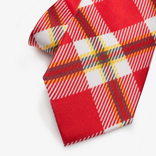 Load image into Gallery viewer, Houston Tie
