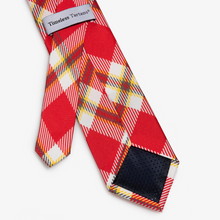Load image into Gallery viewer, Houston Tie