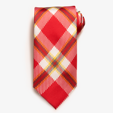 Load image into Gallery viewer, Houston Tie