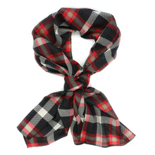 Load image into Gallery viewer, Northeastern Scarf