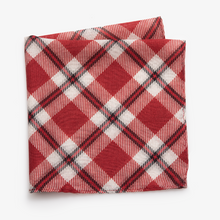 Load image into Gallery viewer, Temple Pocket Square