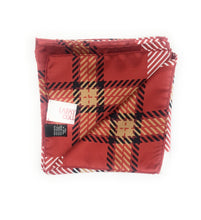 Load image into Gallery viewer, Lafayette Handkerchief Scarf