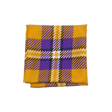 Load image into Gallery viewer, Alcorn State Handkerchief Scarf