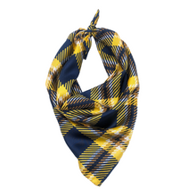 Load image into Gallery viewer, Cal Handkerchief Scarf