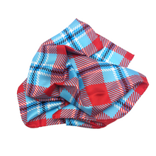 Load image into Gallery viewer, Delaware State Handkerchief Scarf