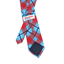 Load image into Gallery viewer, Delaware State Tie