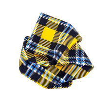 Load image into Gallery viewer, Framingham State Handkerchief Scarf