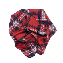 Load image into Gallery viewer, Fresno State Handkerchief Scarf
