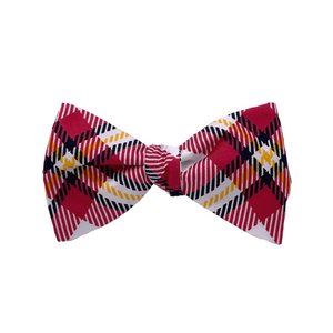 Louisville Bow Tie