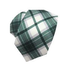 Load image into Gallery viewer, Michigan State Union Tie