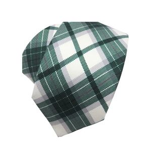 Michigan State Union Tie
