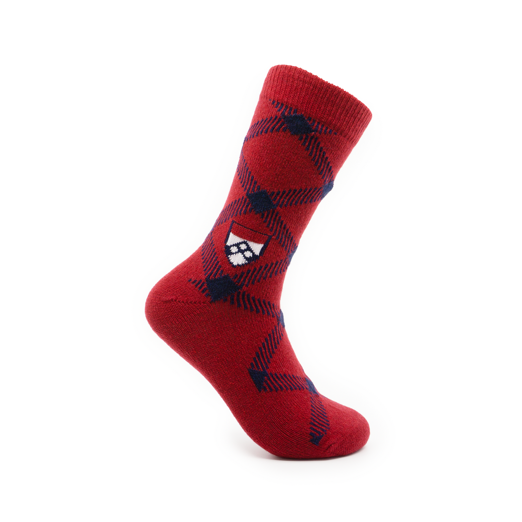 Penn Wharton Socks