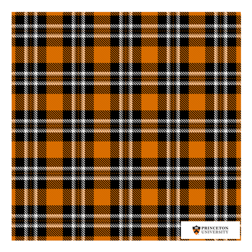 Princeton Handkerchief Scarf