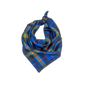 Notre Dame Handkerchief Scarf