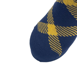 Notre Dame Socks