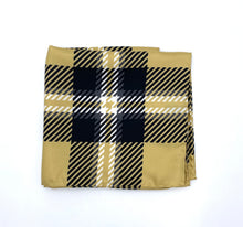 Load image into Gallery viewer, Wake Forest Handkerchief Scarf