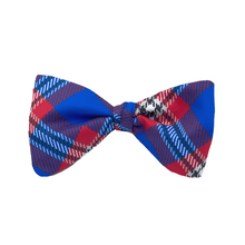 Load image into Gallery viewer, West Georgia Bow Tie