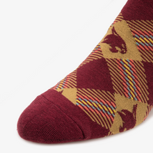 Load image into Gallery viewer, Texas State Socks