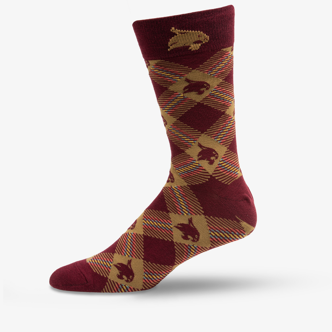 Texas State Socks